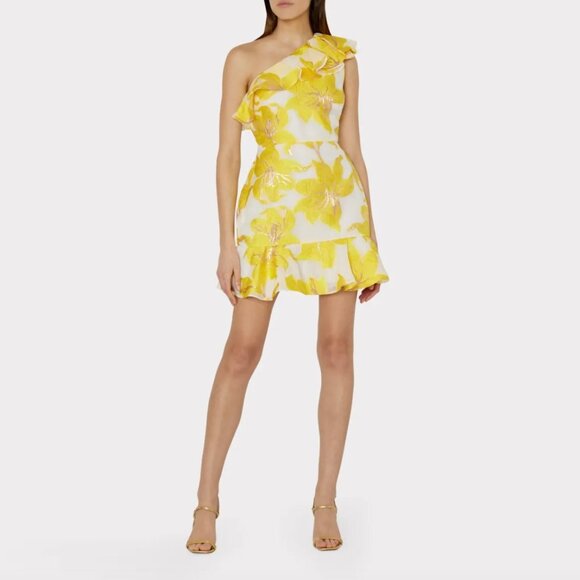 Milly Nila Metallic Fleur Jacquard Ruffle One Shoulder Mini Dress - Sz 2 - Picture 1 of 6